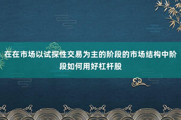在在市场以试探性交易为主的阶段的市场结构中阶段如何用好杠杆股