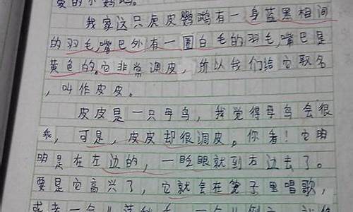 写动物的作文300字_写动物的作文300字以上三年级